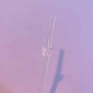Papillon rose