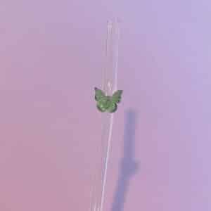 Papillon vert