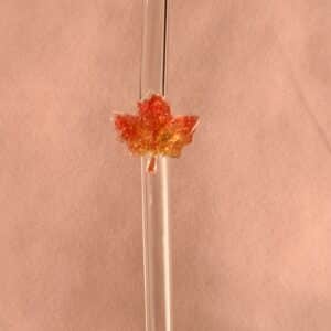 Feuille d'automne